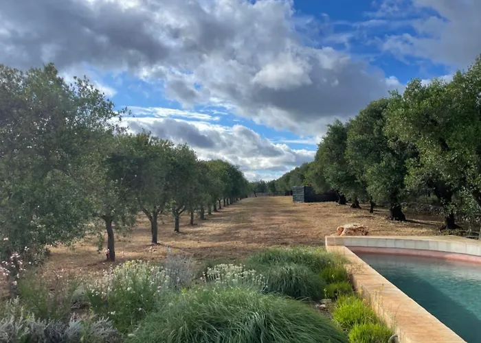 New Heated Pool In Ostuni